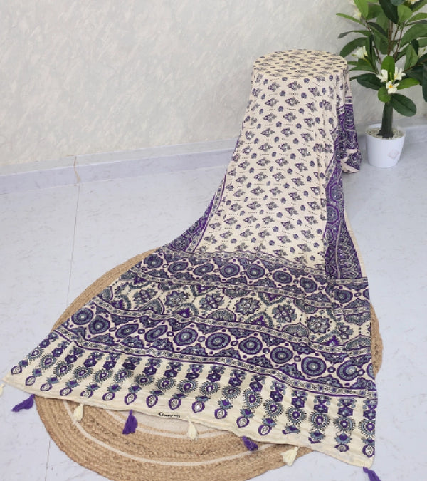 Ajrak mirror saree S050
