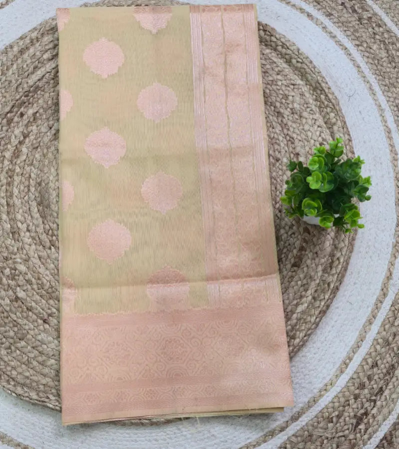 Aabha cotton saree S025