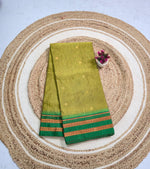 Narayanpeth Paithani S012